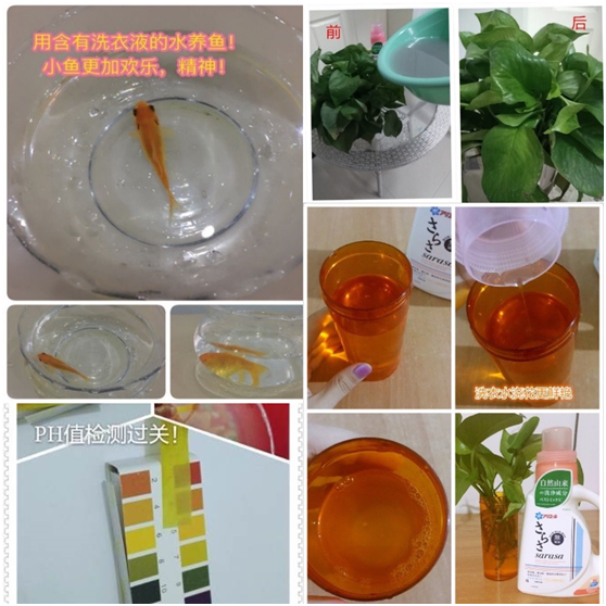 ħԌ򞼯\ϴҺ߀@ô惺